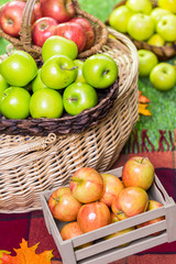 Organic apples