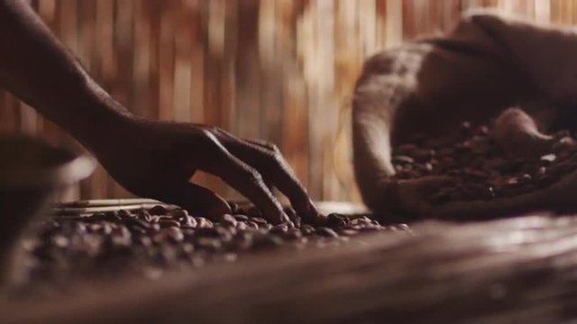 African Worker Is Sorting Coffee Bean