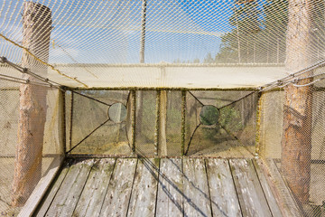Big trap in 