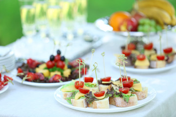 Fototapeta na wymiar Snacks, fruits and drinks on table, outdoors. Garden party concept