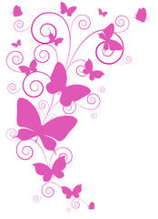 butterflies design