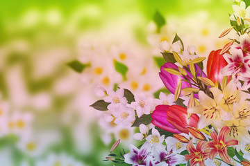 Floral background
