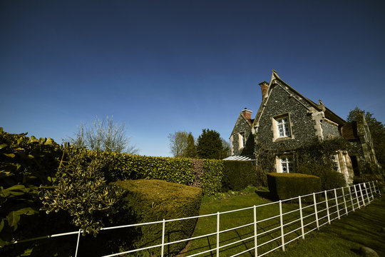 Typical British house with small garden and vegetation growing on the exterior wall