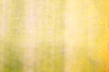 Blur image Background color
