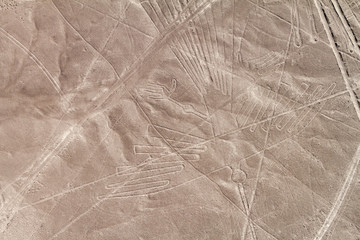 Nazca Lines, Condor figure visible