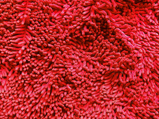red carpet close up