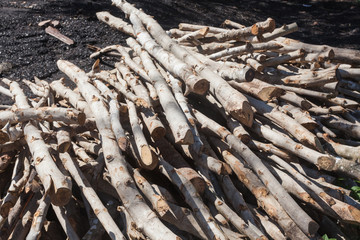 A small pile of logs in countryside , firewood stack