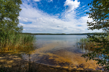 At the lake. Summer landscape.