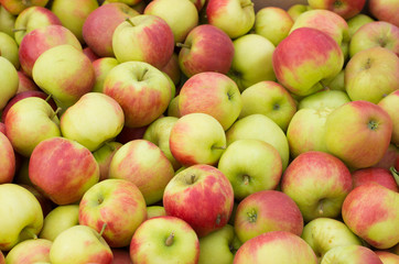 ripe apples