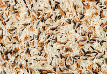 detail of uncooked mix rice grains background