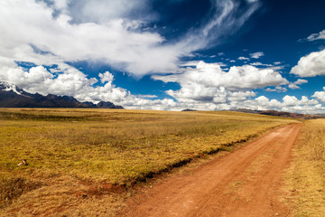 Road in cereal fields