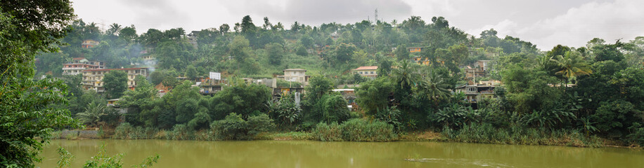 Fototapeta na wymiar Panorama of the river in the jungle. Sri Lanka