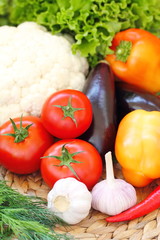Assorted vegetables on the wooden table