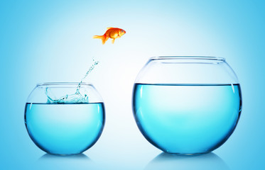 Goldfish jumping from glass aquarium,on blue background