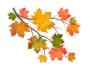 Vector Autumn Branch 
