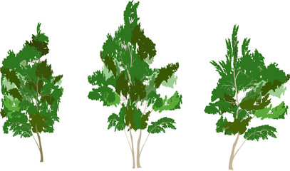 Obraz premium three green isolated trees illustration