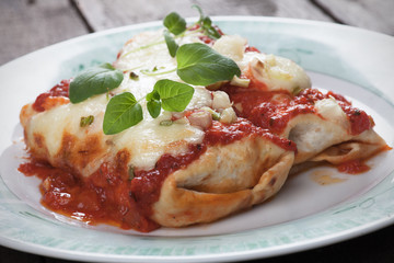 Mexican enchilada