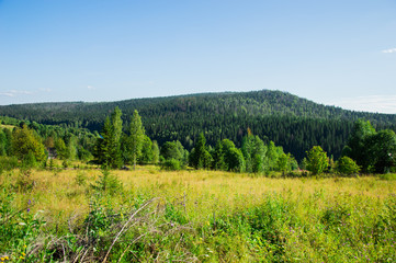 Fototapeta na wymiar Пейзаж с видом на Громовскую гору в Пермском крае