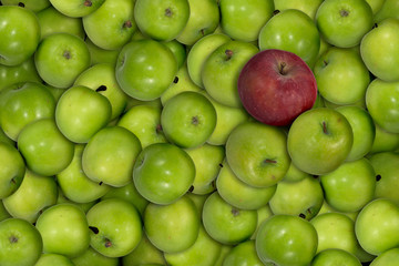 red apple on the top of green apples