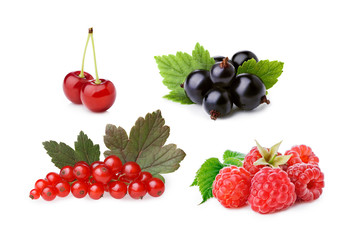 Cultivated berries isolated set