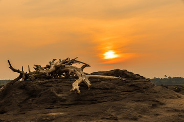 Sunrise over the rocks
