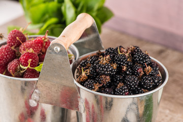 Metal buckets with fresh berries