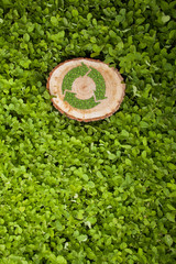 tree stump on the grass with recycle symbol, top view