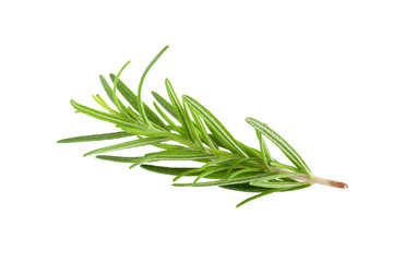 Fototapeta premium rosemary isolated on white background