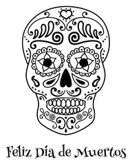 skull on white background