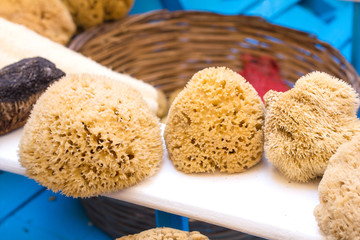 Greek natural sponges for face and body
