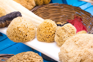 Greek sea sponges for body