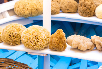 Many sea sponges lay on a boat