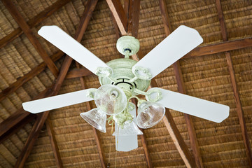 Fan and Lighing on top