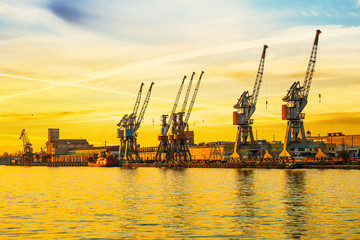 Obraz premium Sea port cranes at sunset in Port of Gdansk, Poland.
