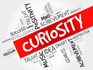 Curiosity word cloud, business concept