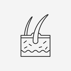 Hair root line icon