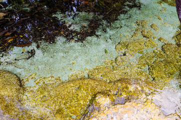 Obraz premium An Ascetic is name of beautiful spring pool