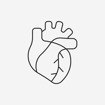 organ heart line icon