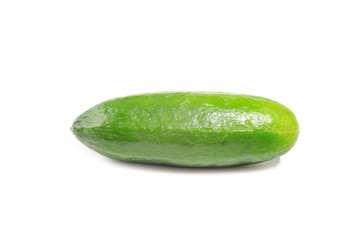 Small green cucumber
