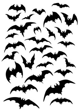 Bats silhouettes set. Illustration fantasy bats silhouettes for halloween works