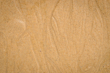 Watercourse on wet sand pattern of a beach