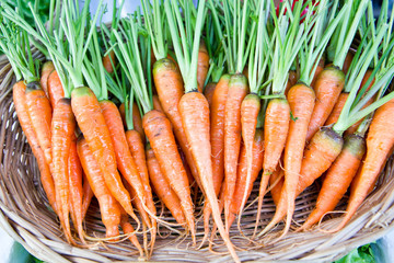 Fresh baby carrots in basket