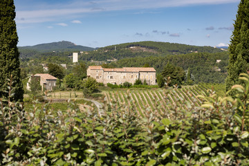 Fototapeta na wymiar Weinanbau in der Ardeche, Frankreich