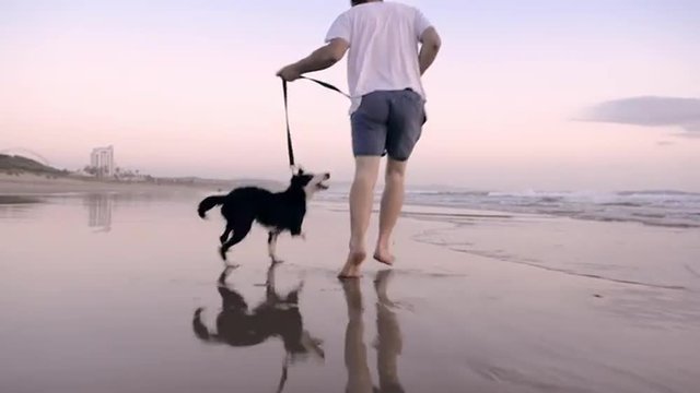 Happy man running dog on beach lifestyle steadicam shot