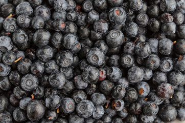 Blueberry antioxidant superfood
