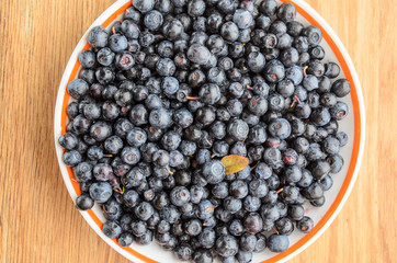 Blueberry antioxidant organic superfood in a bowl concept for healthy eating and nutrition