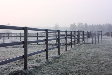 Erster Frost im Herbst