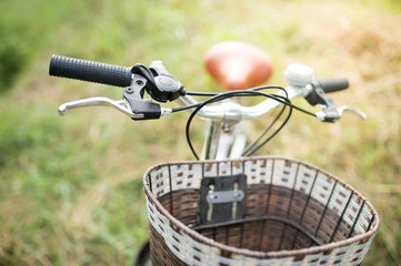 Vintage Bicycle with Summer grassfield