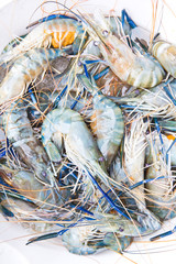 Fresh Shrimp / Prawn on ice at the raw food market, Bangkok Thai