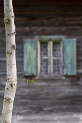 altes verfallenes Bauernhaus in der Steiermark, Österreich